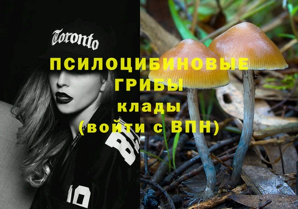 кокс Костерёво